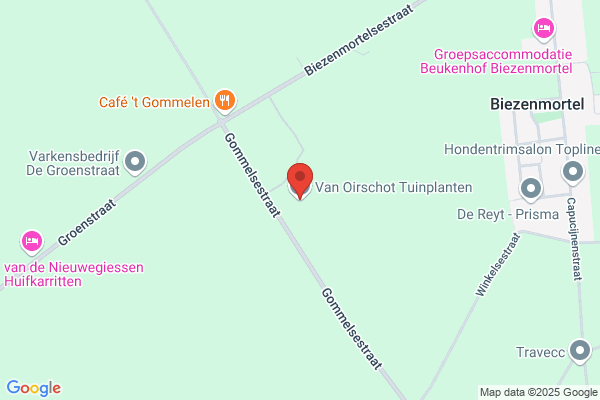 Boomkwekerij Gebr. Van Oirschot Bv