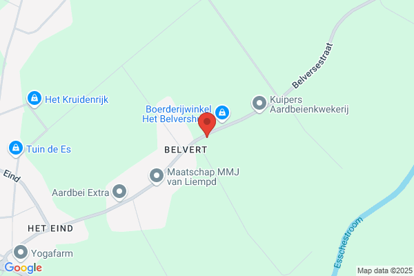Akkermans-Van Engelen, M