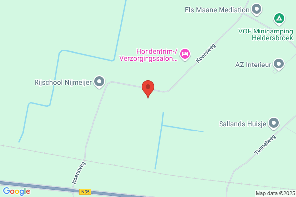 Busscher