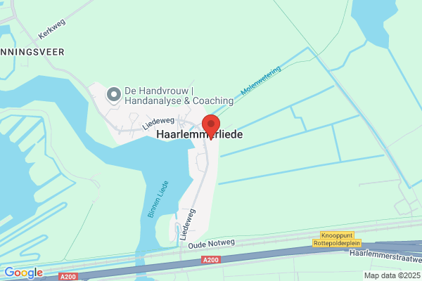 Des'81