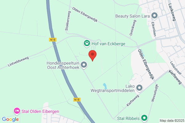 Zwembad Het Vinkennest