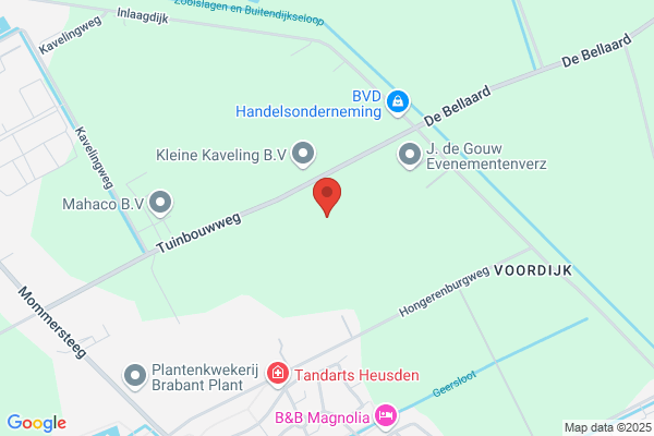 Hungerenburcht Bv, De
