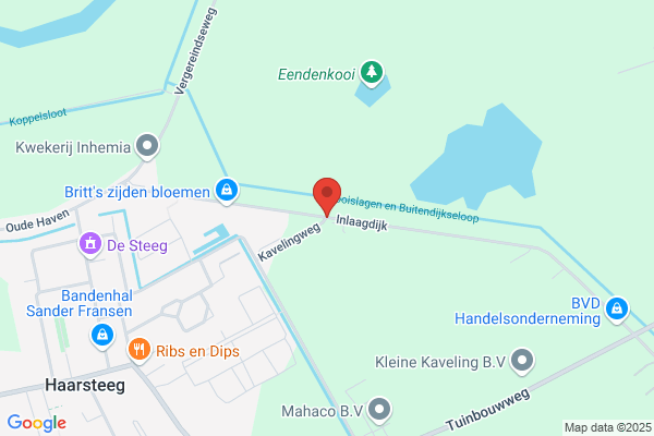 Karrospuntnl