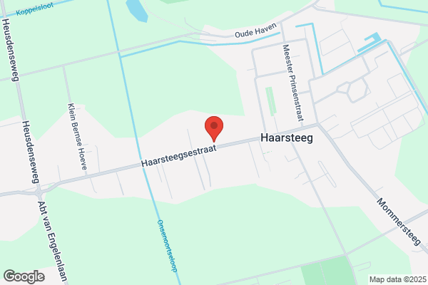 Steenhoeve Bv, De