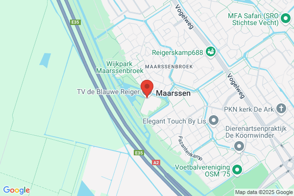 De Blauwe Reiger