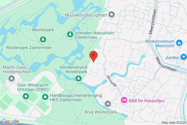 Steenwijk Management Consultancy Bv