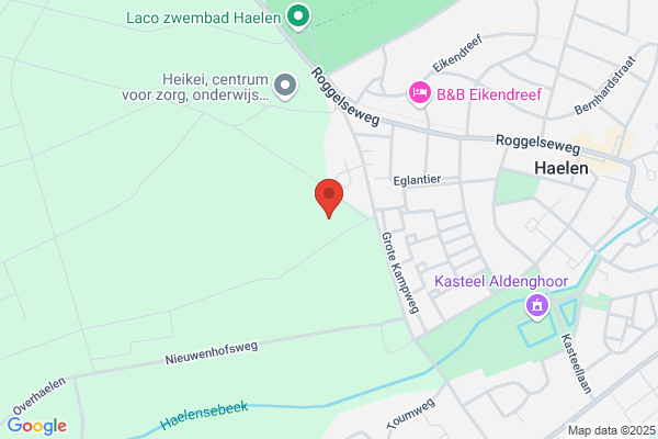 Asselter Wachtstoove, De