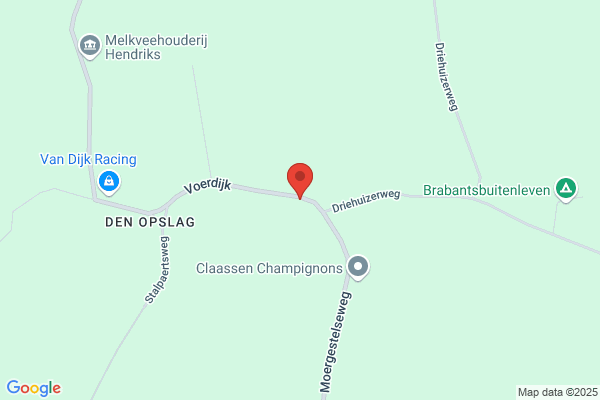 Brand, G H A M Van Den