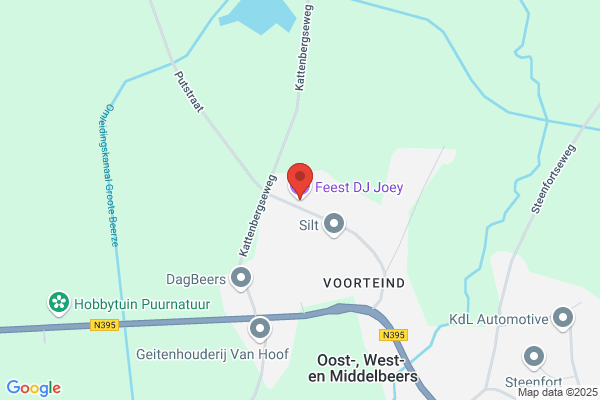 Feest DJ Joey
