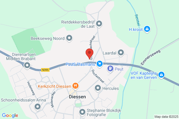 Fysio- en Manuele Therapie W D Thieme Groen