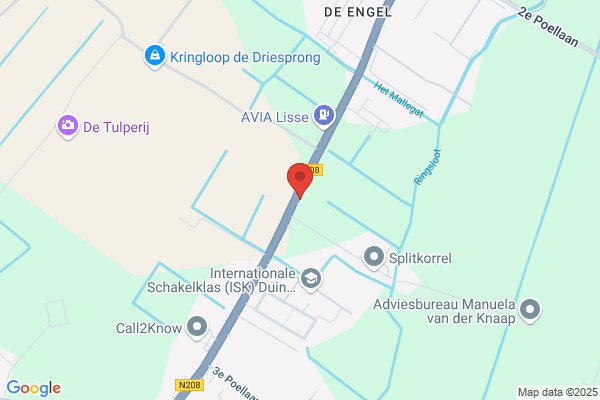 Verberghe Bloembollen
