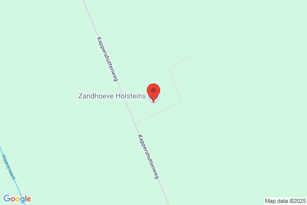 Zandhoeve, De