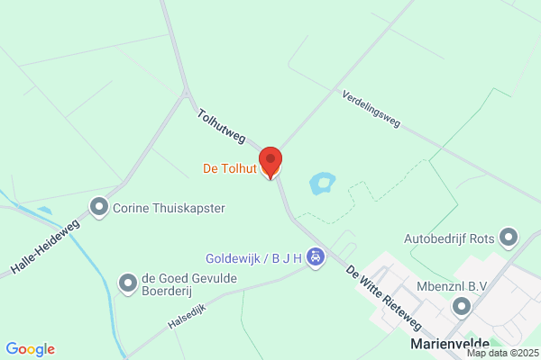 Tolhut De