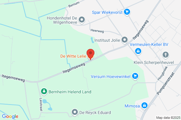 De Witte Lelie Antiquiteiten