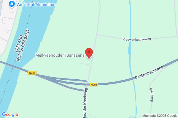 Jansen
