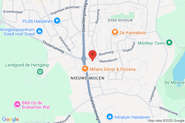 Nuijten, C