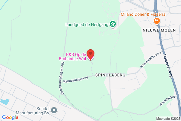 Rijk
