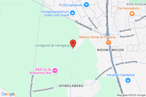 Dinteloord