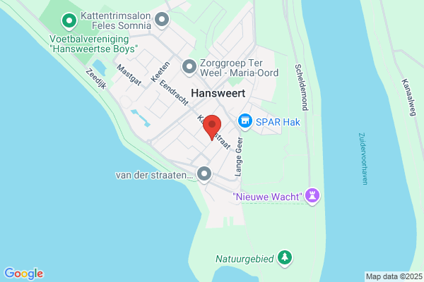 Bloemkool, De