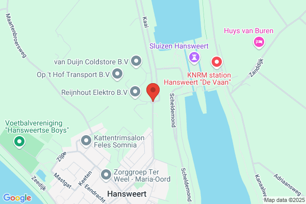 Helianthus