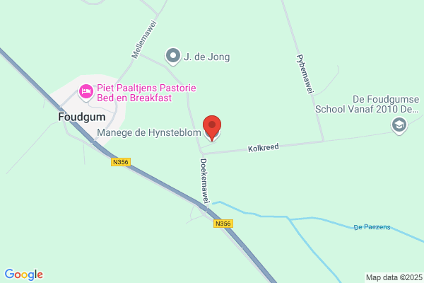 De Ruiter