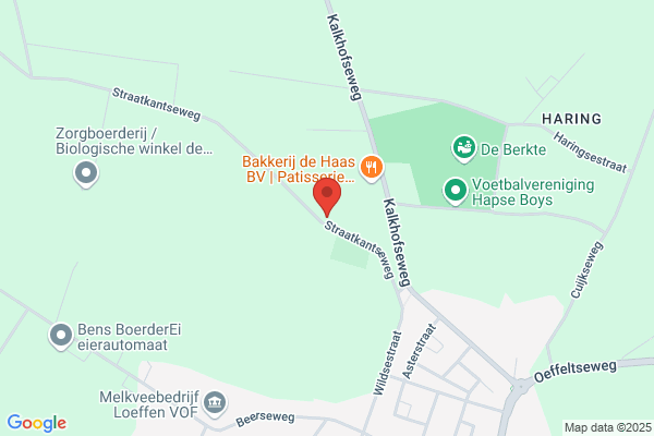 Adriaans Dakdekkers- en leidekkersbedrijf