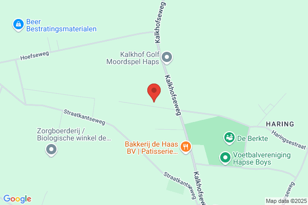 C.J.M. V Elst
