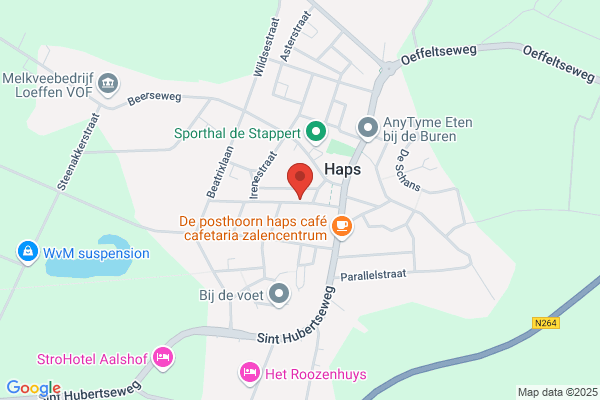 Centr Voor Ouderen, Steunpunt
