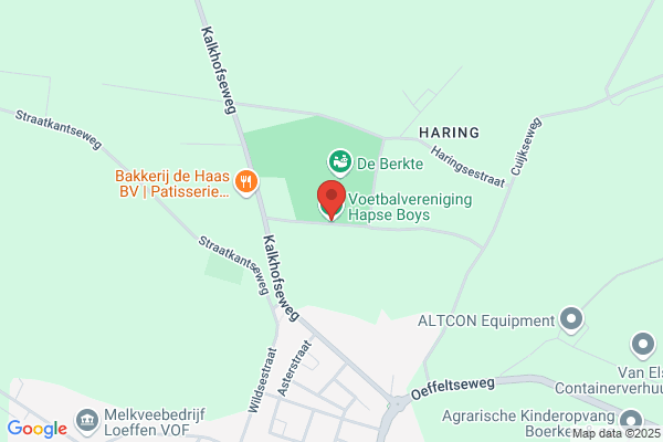Hapse Boys Rkvv