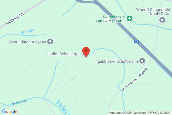 Schelbergen, M J M