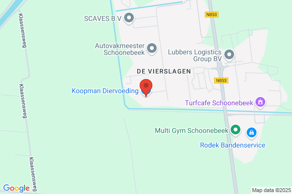 K. Koopmans En J.G. Aalderink