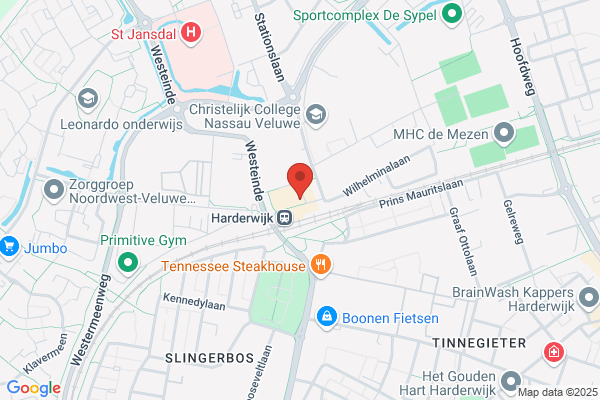 Schimmel Van Steinvoorn Accountants Belastingadvis