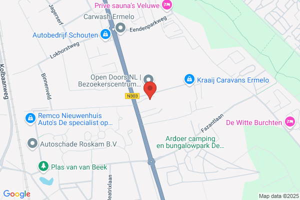 Butzelaar auto's