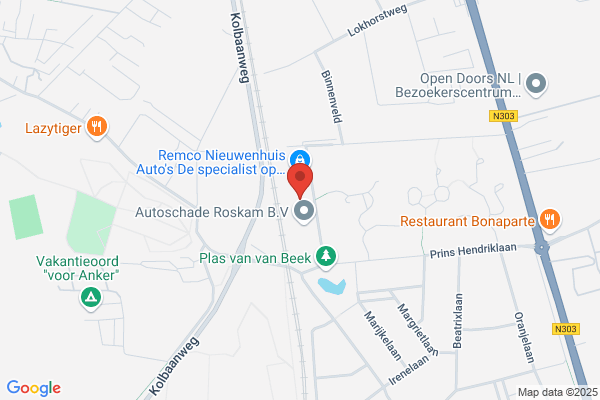 Doppenberg Auto's