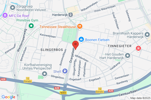 Pebbles Honden Uitlaatservice & Honden en Katten Trimsalon