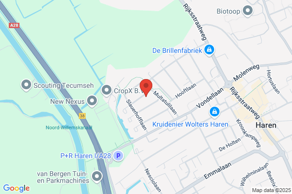 Webkoning