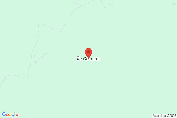 Rif