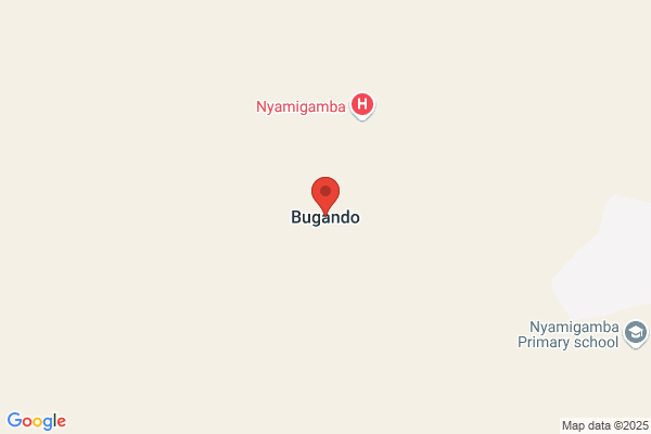 Bugando, Software