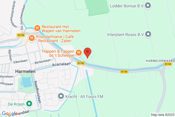 Raad De Meern Cv