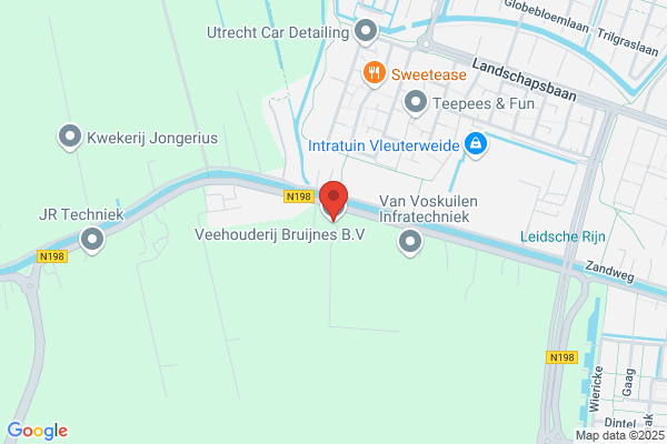 Verdeuijn, G