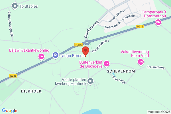 Drostenborg, Henk