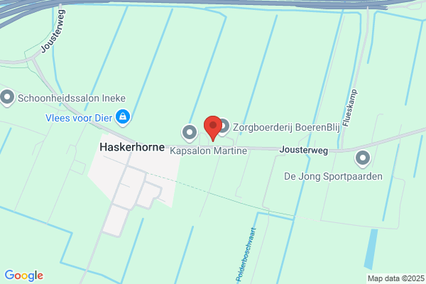 P.M. De Jong