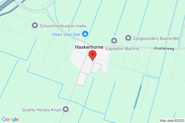 Bijlsma