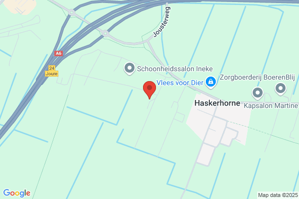 Dikken, R