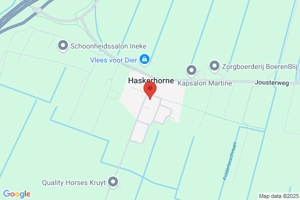 Trefpunt