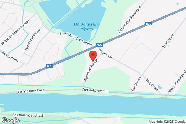 Bloementrend