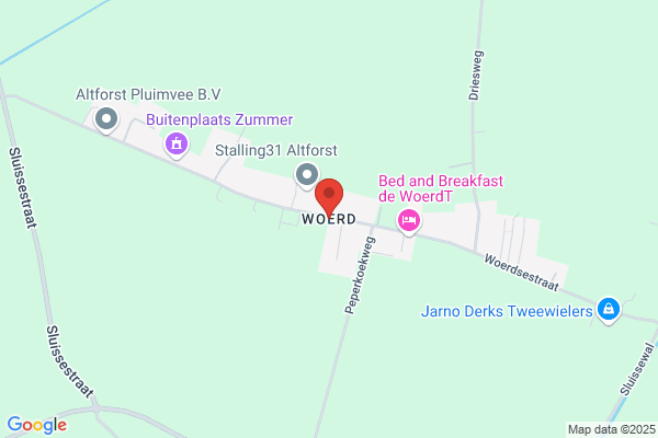 Woerd, Van Der