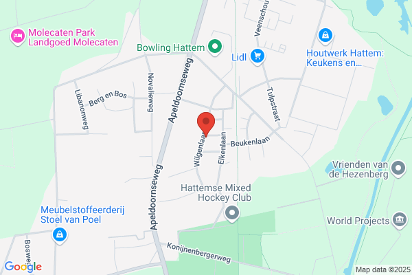 Haducon Hattem