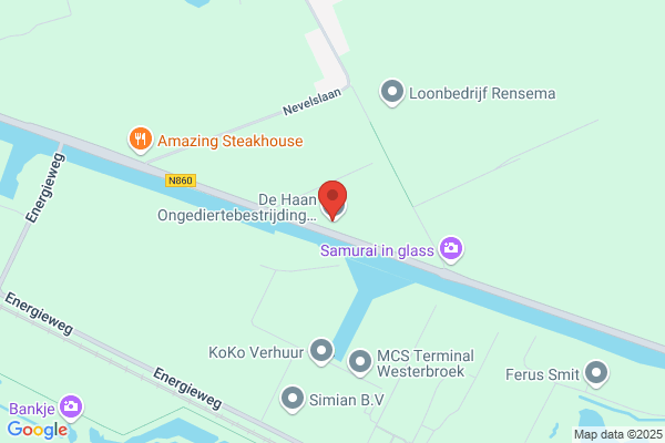 Vogelzang Schoorsteenveger