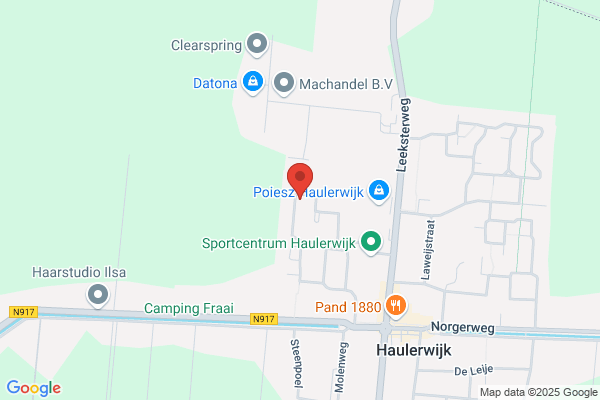 Acupunctuur W J van der Heiden
